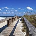 Boardwalk to Paradise
